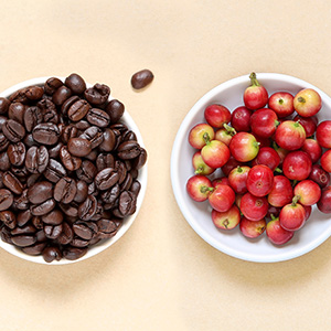 La lavorazione del caffè: lavati e naturali